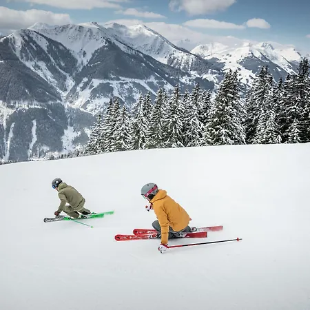 Haus Gugl By Skinetworks